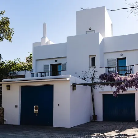 Carvi * San Antonio (Ibiza)