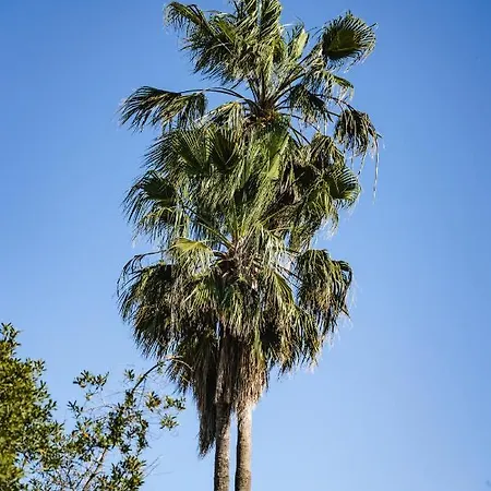 Villa Carvi *
