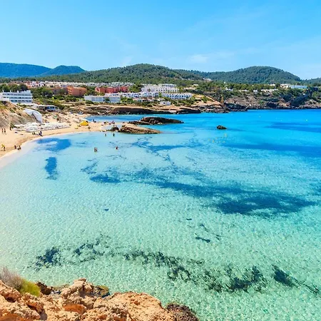 Carvi * San Antonio (Ibiza)